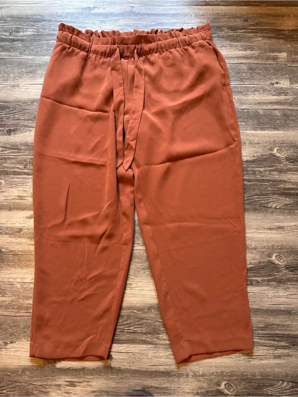 LOFT Women's Wide-Leg Pants in Rust size 18